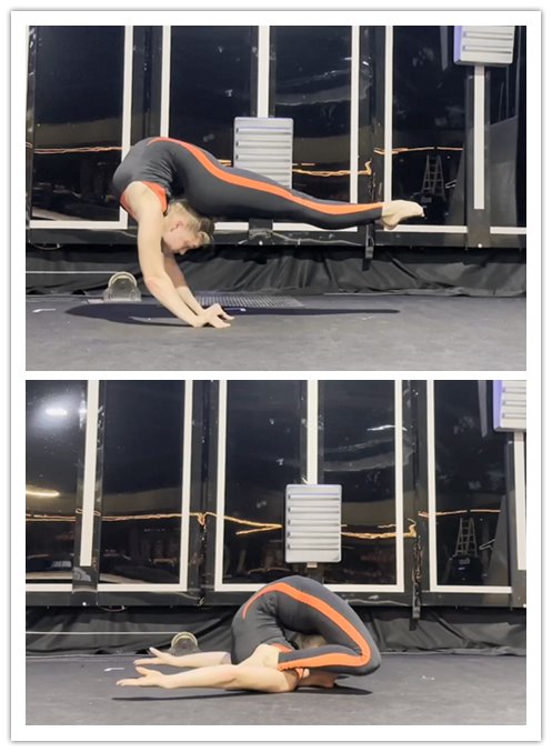 2026.10-18����Ƶ��Ա��flexshowר���Ѹ���
