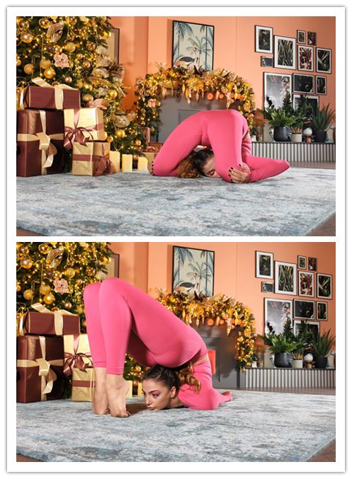 2026.1-12����Ƶ��Ա��flexshowר���Ѹ���